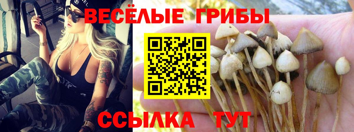 Галлюциногенные грибы прущие грибы Рузаевка