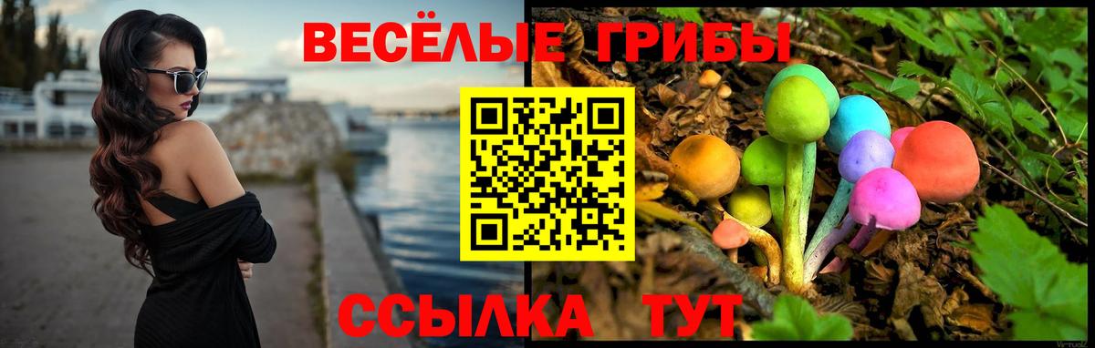 Псилоцибиновые грибы мицелий  Вход с VPN  Рузаевка 